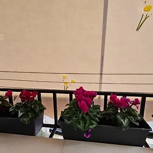 Center Apartment